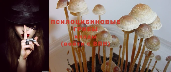 ГАЛЛЮЦИНОГЕННЫЕ ГРИБЫ Надым
