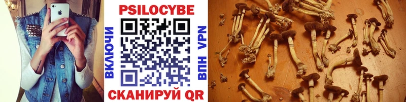 Галлюциногенные грибы мухоморы  где купить наркотик  Абакан 