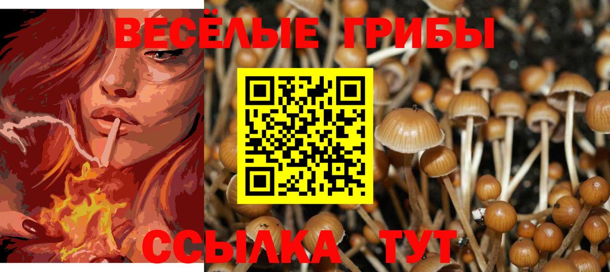 Псилоцибиновые грибы GOLDEN TEACHER Абакан